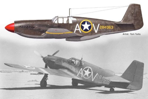 More information about "USAAF-A36 APACHE-284063.studio3"